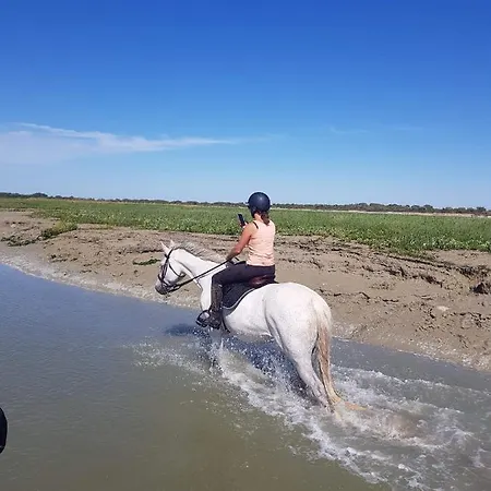 De بيت للعطل Vercourt